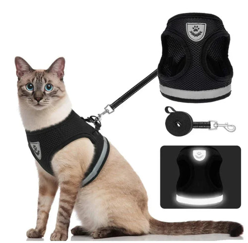 Explorer Harness med Leash Luvikno