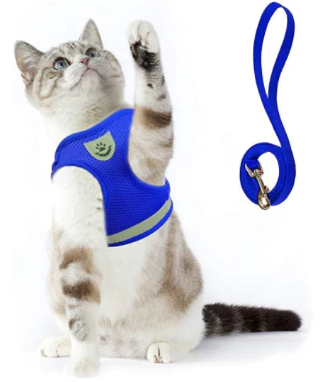 Explorer Harness med Leash Luvikno