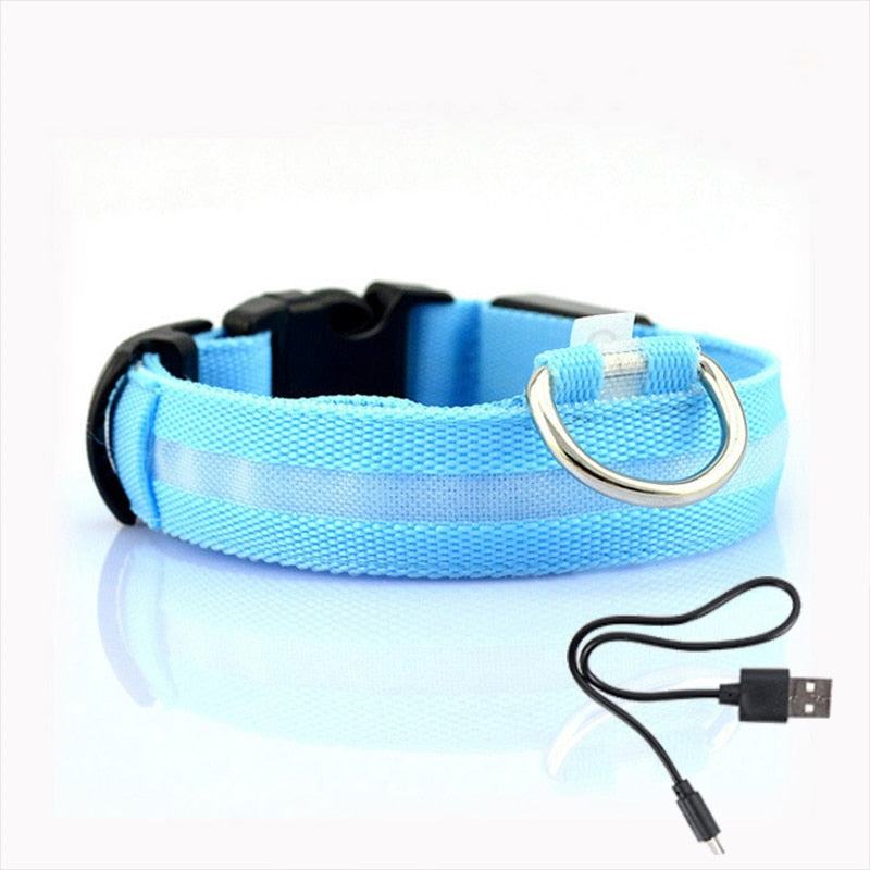 LED hundehalsbånd - GlowCollar Luvikno