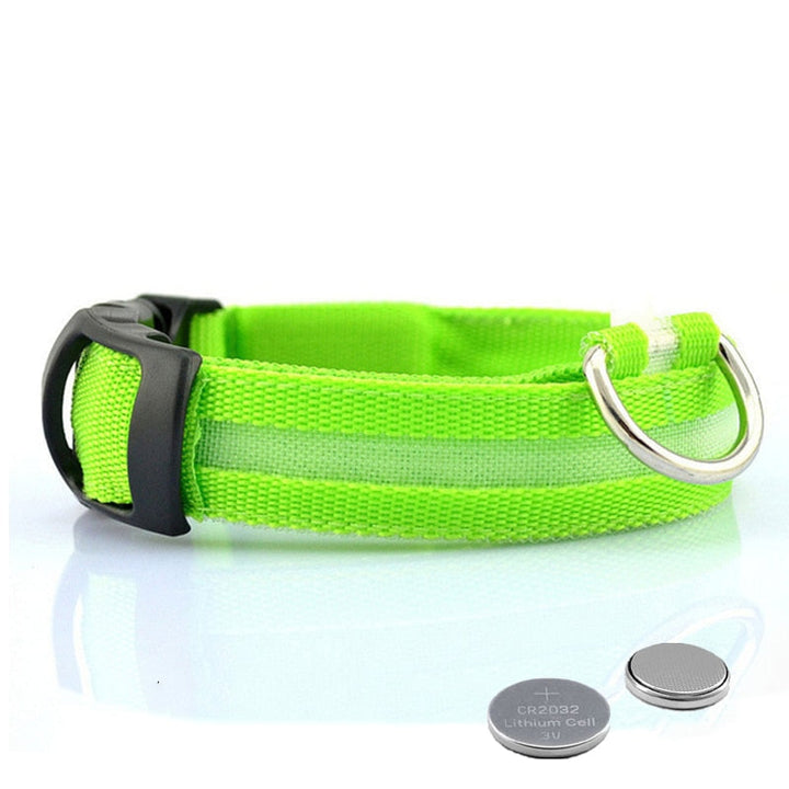LED hundehalsbånd - GlowCollar Luvikno