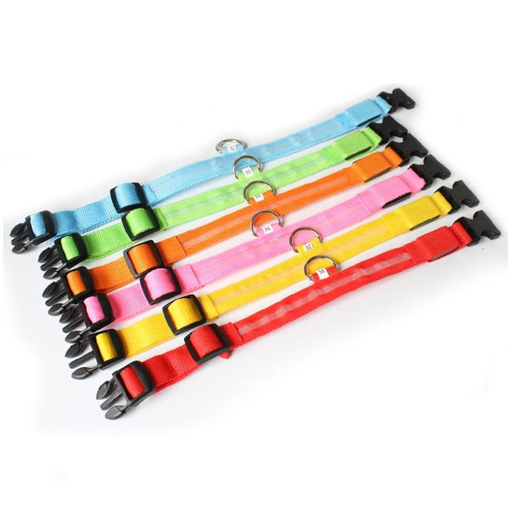 LED hundehalsbånd - GlowCollar Luvikno