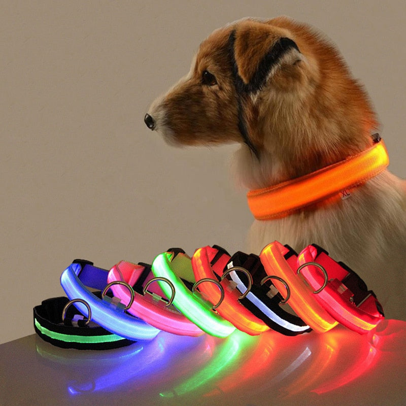 LED hundehalsbånd - GlowCollar Luvikno