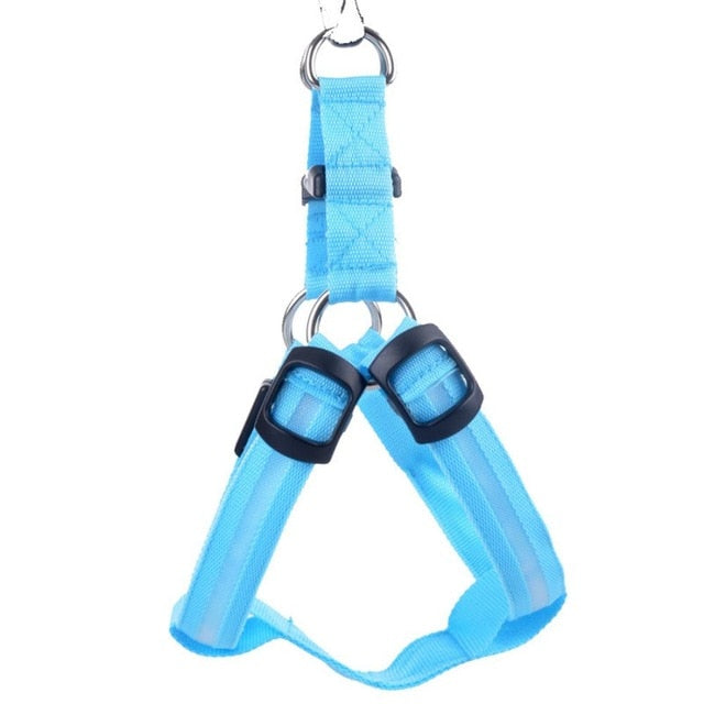 LED Hund Sele - Glow&Go Luvikno