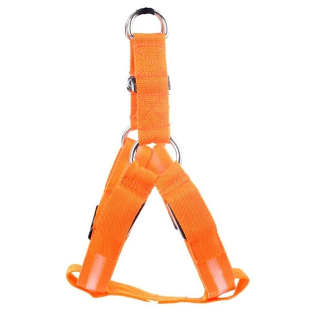 LED Hund Sele - Glow&Go Luvikno