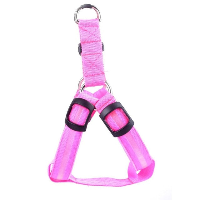 LED Hund Sele - Glow&Go Luvikno