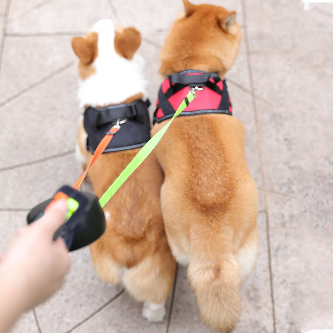 Tangle Free Dual Dog Leash Luvikno