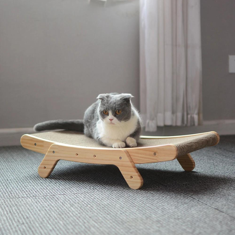 Luna Katt Klore Seng Luvikno
