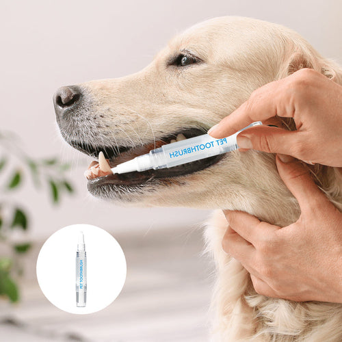 Pet Toothbrush Pen – PetSmile Luvikno
