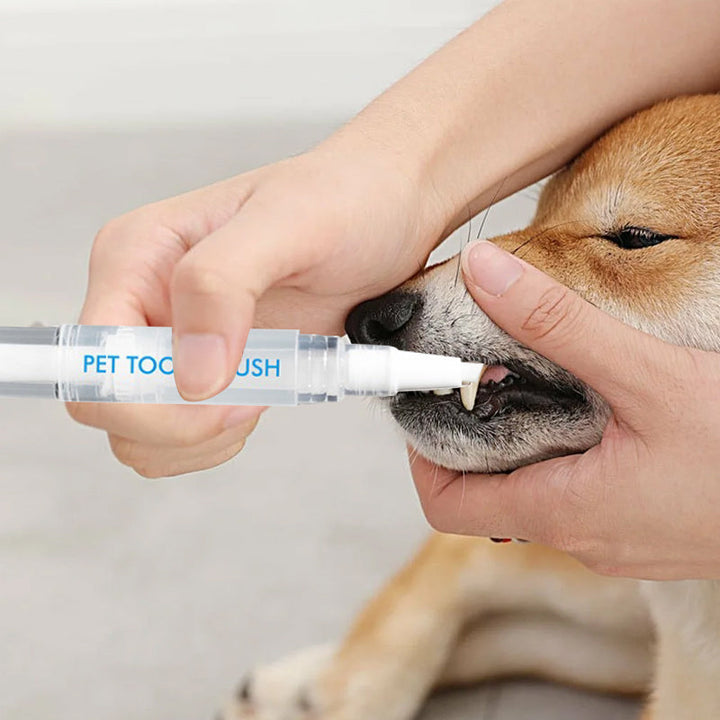 Pet Toothbrush Pen – PetSmile Luvikno