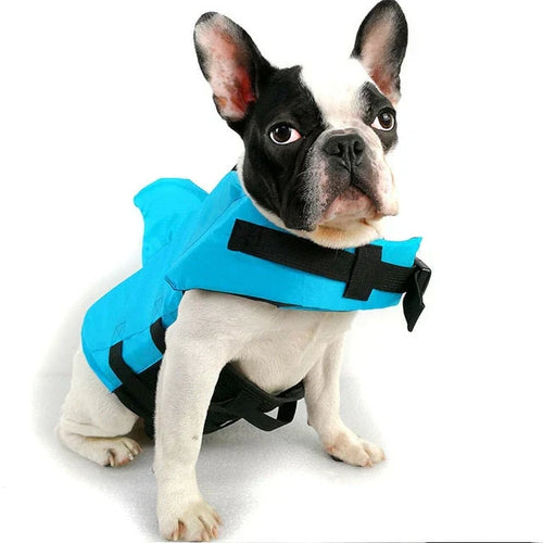 Sikkert svømmemoro for hunden din – SwimBuddy redningsvest Luvikno