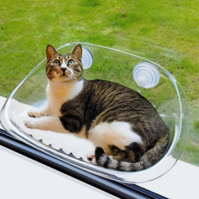 Vindu Hylle for Katter - KittyView Luvikno