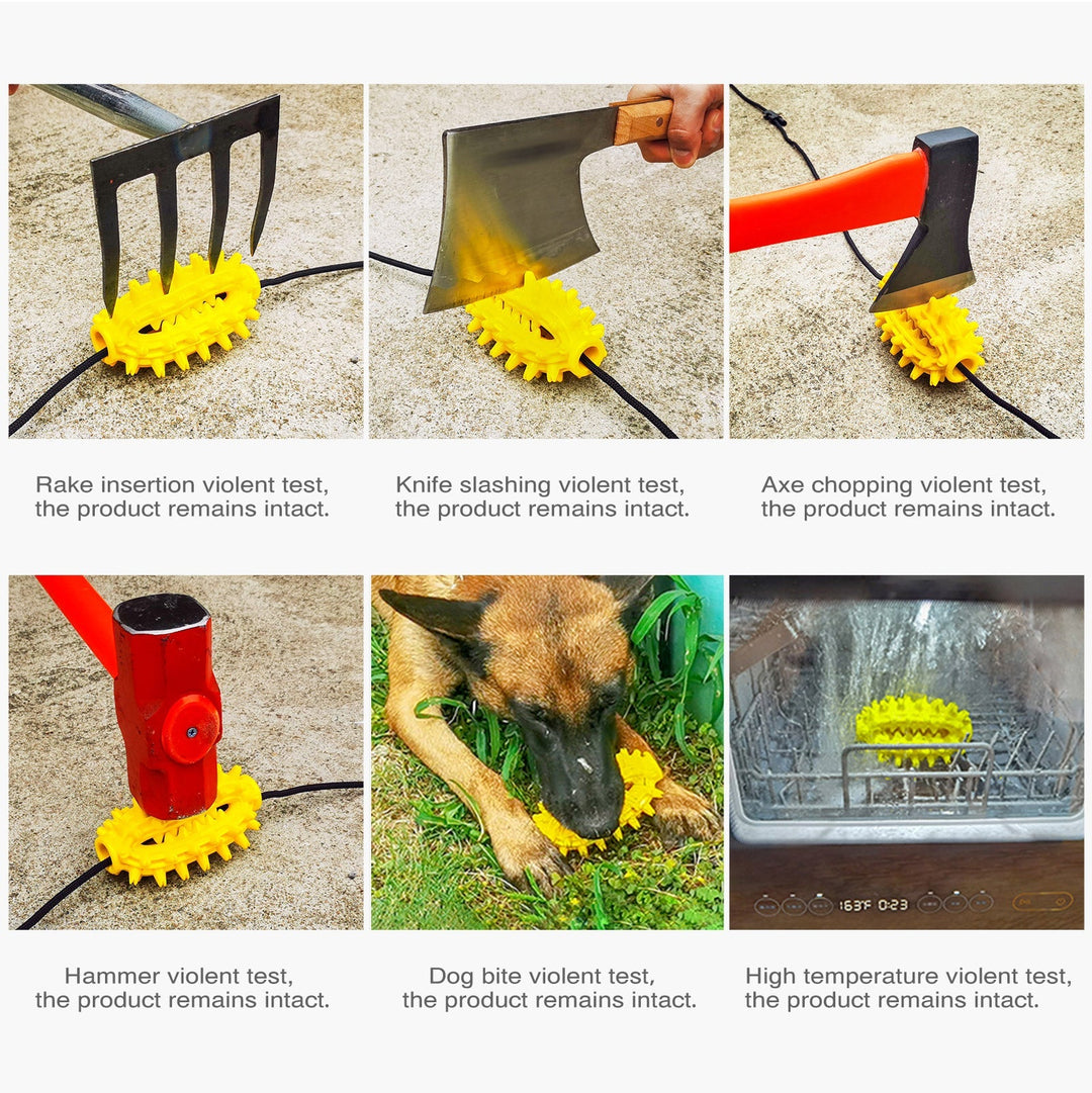 Cactus Chew Ball / For Dogs Luvikno